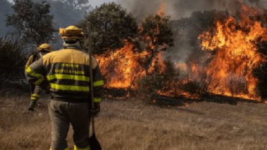 🎧 Más de 60 mil hectáreas quemadas en España