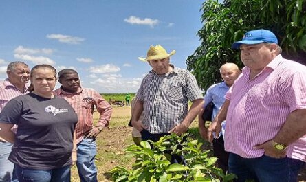 Cienfuegos: Dirigentes cubanos incentivan producción agrícola